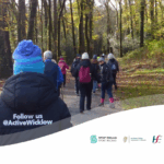 Wide banner image of a group walking away from the camera down a gravel path surrounded by autumn trees. In the foreground, a person wears a blue beanie and a coat with the text "Follow us @ActiveWicklow". The bottom of the image is overlaid with a white wavy graphic showcasing partner logos from left to right: Spórt Éireann / Sport Ireland, An Roinn Sláinte / Department of Health, HSE, and Wicklow Sports & Recreation Partnership.